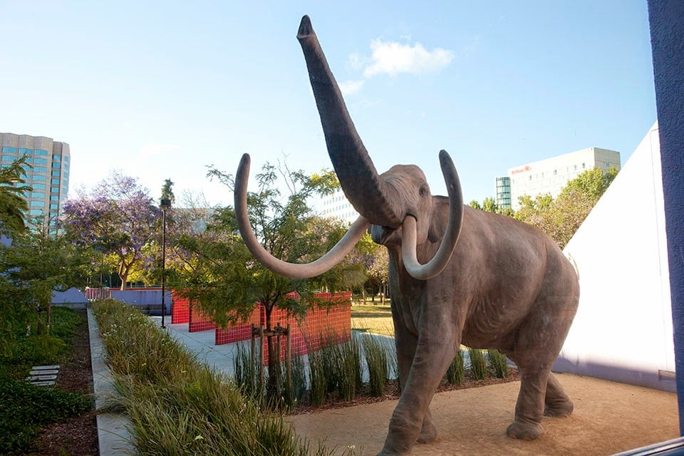 Children's Discovery Museum