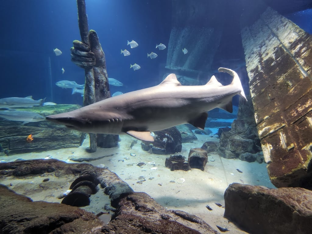 Long Island Aquarium and Exhibition Center