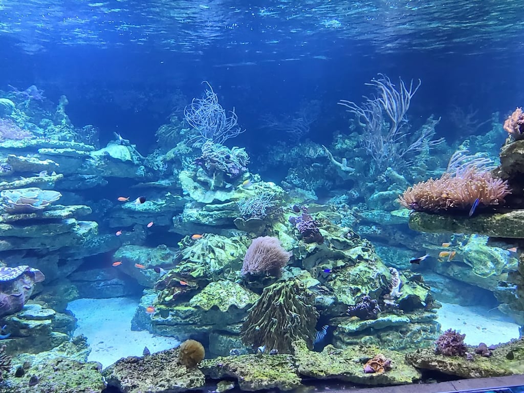Long Island Aquarium and Exhibition Center