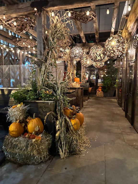 Harper's Garden