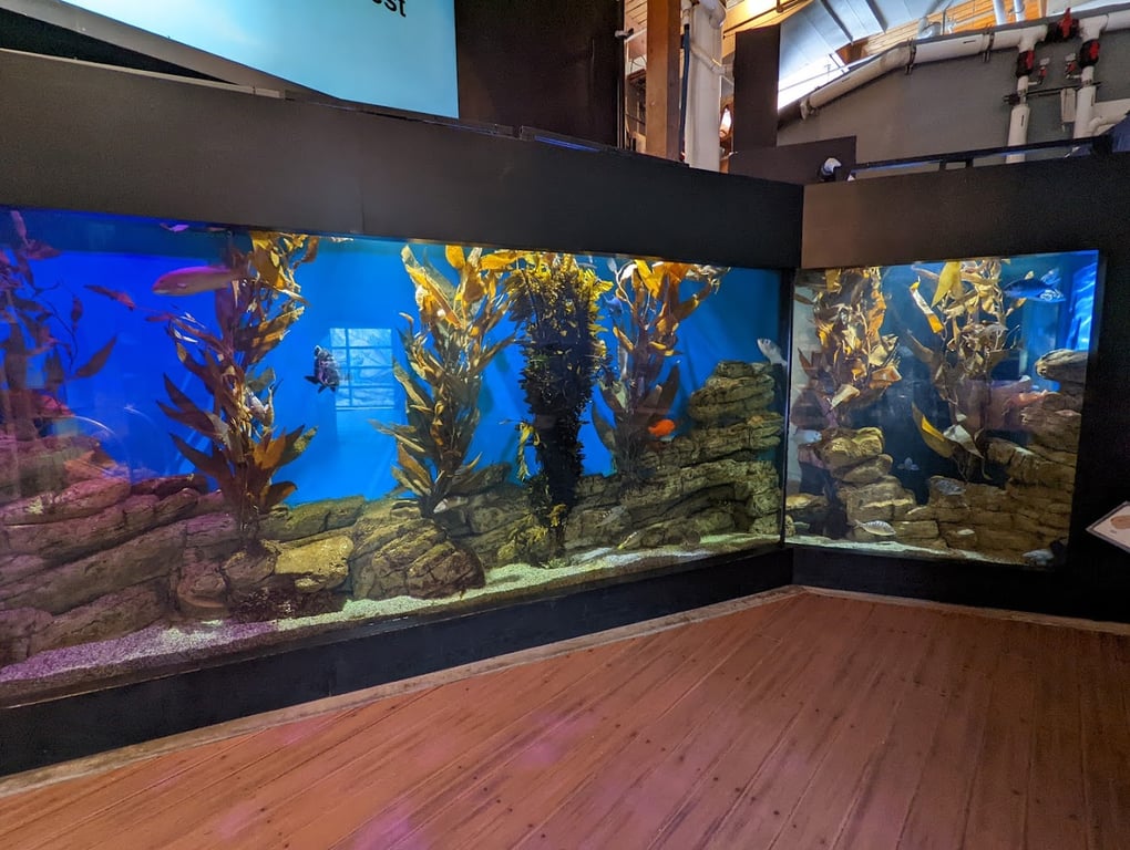 Cabrillo Marine Aquarium