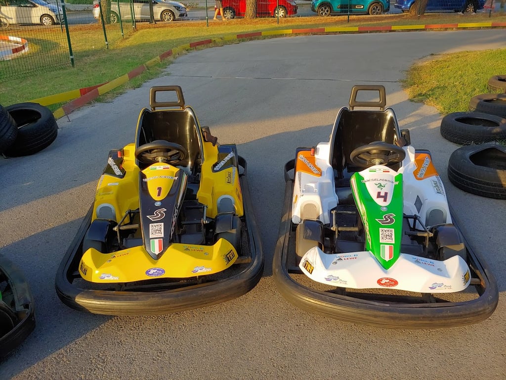 Electro Go Kart