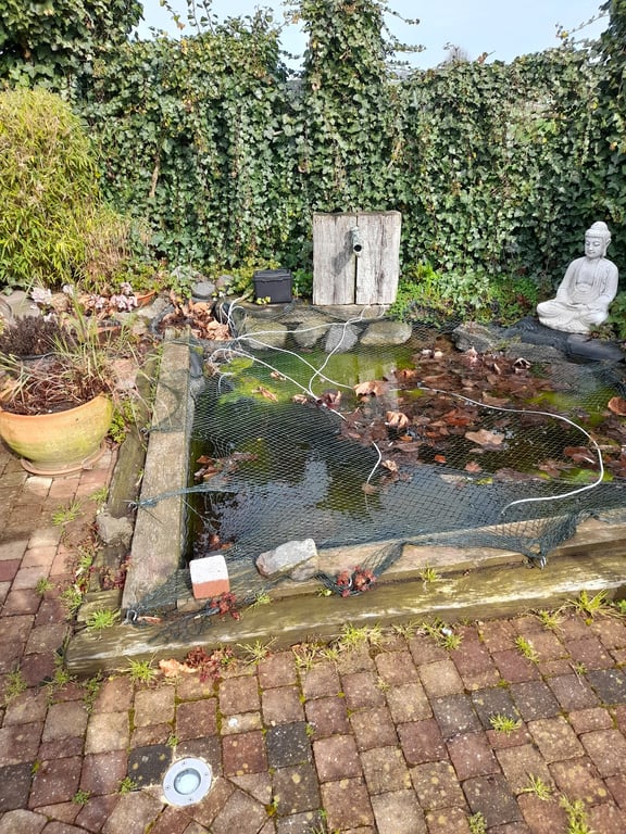Vakantiehuis Charmant