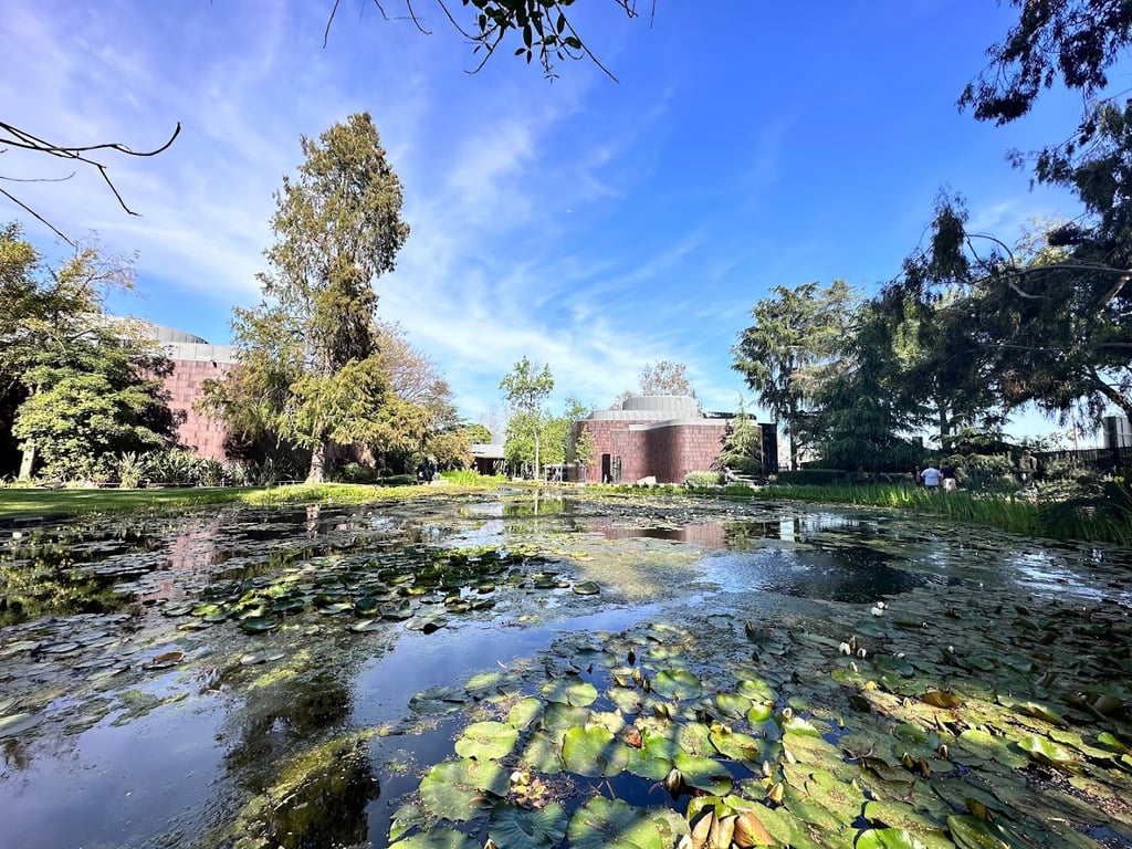 Norton Simon Museum Garden Cafe
