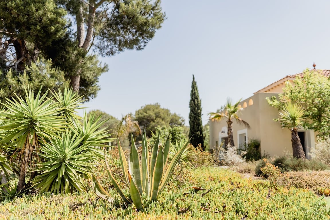 Casa Nova Estate