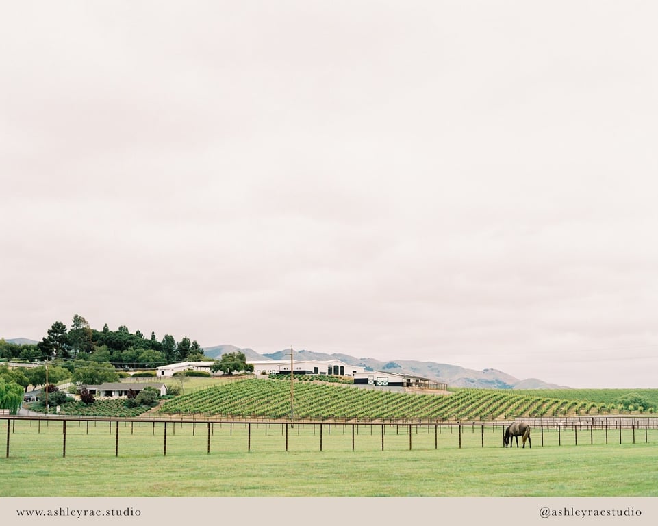 Greengate Ranch & Vineyard