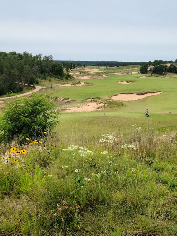 Sand Valley Golf Resort