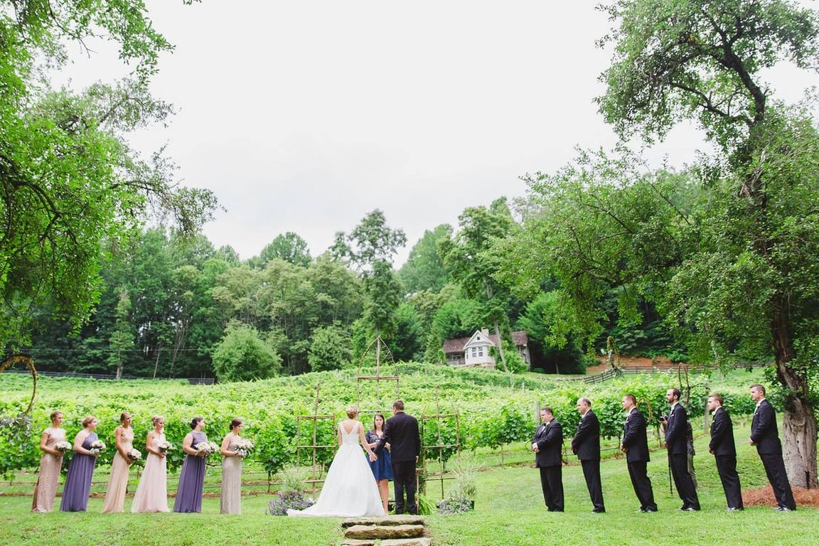 The Vineyard at 37 High Holly