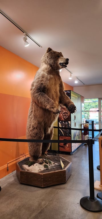 Lindsay Wildlife Museum