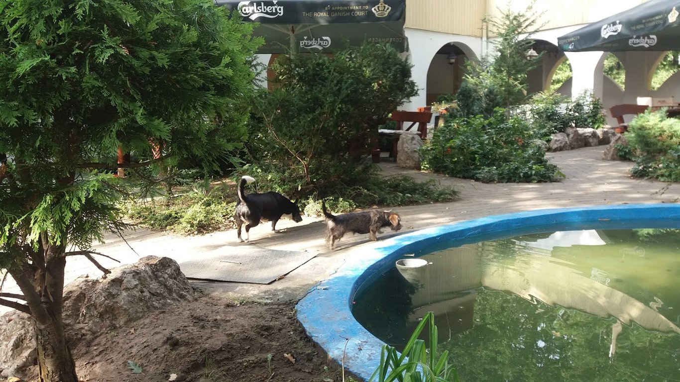 Öreg-tó Hotel és Rendezvénytér