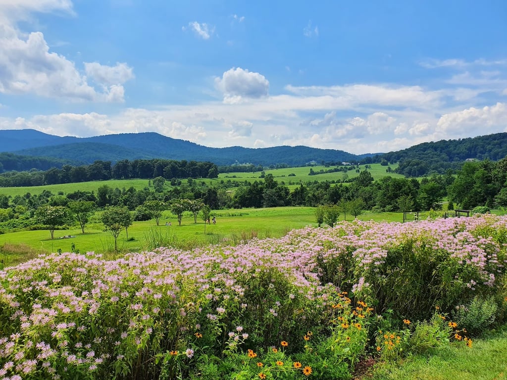 Pippin Hill Farm & Vineyards