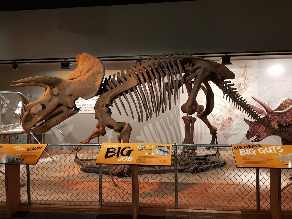 Smithsonian National Museum of Natural History