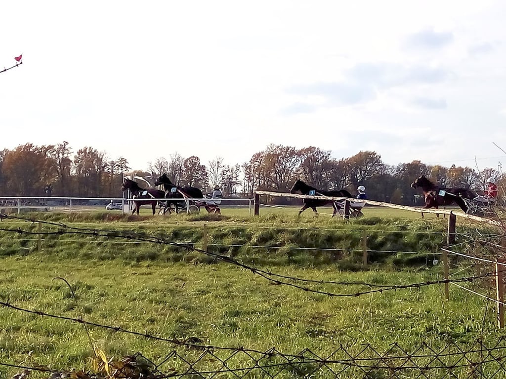 Hippodrome Ljutomer