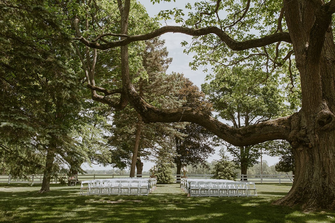Hidden Vineyard Wedding Barn