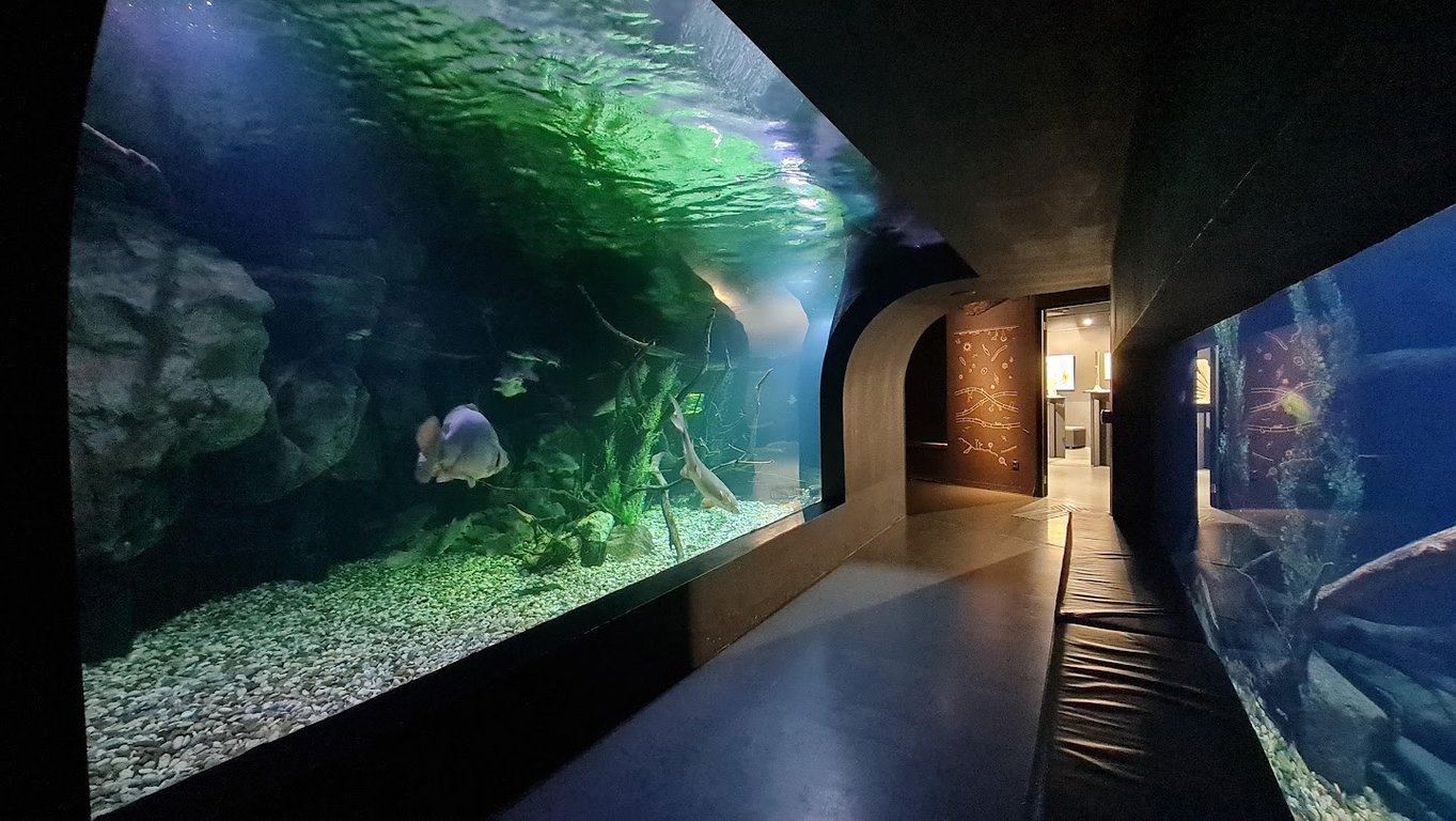 Aquatika Freshwater Aquarium Karlovac