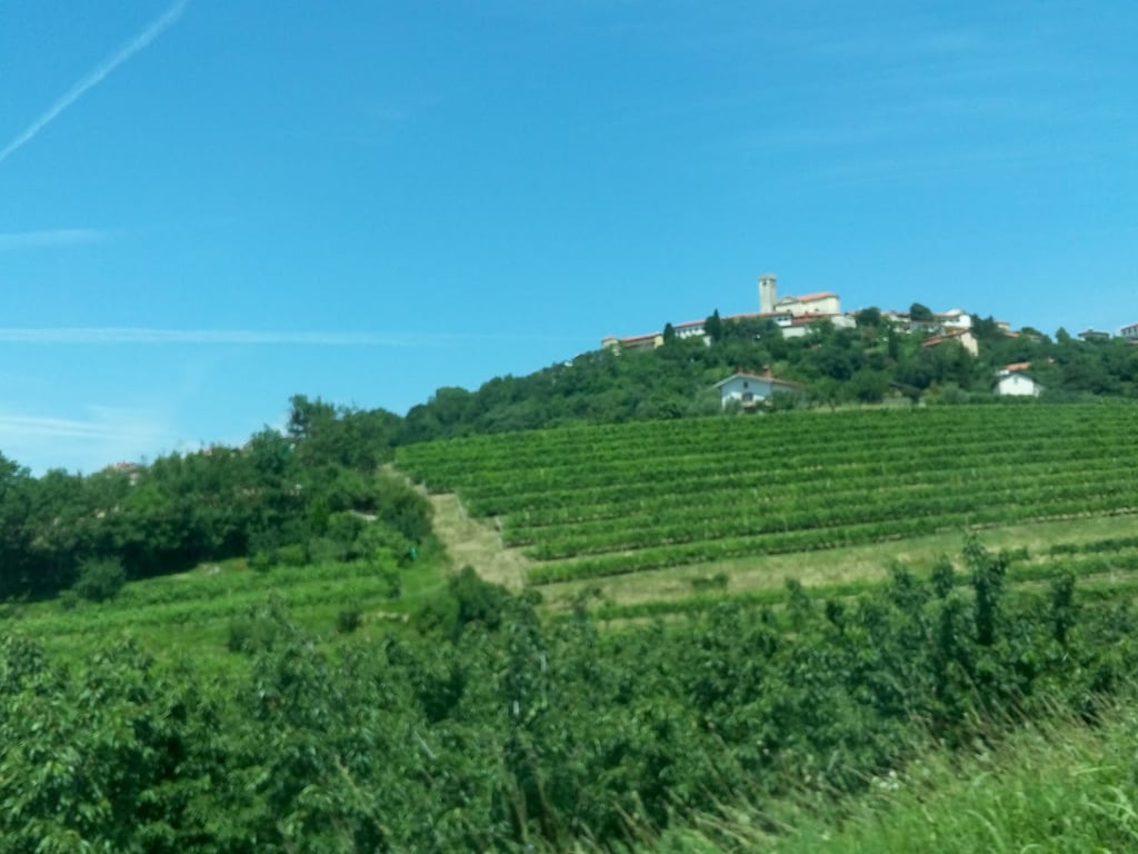 Dobrovo Castle