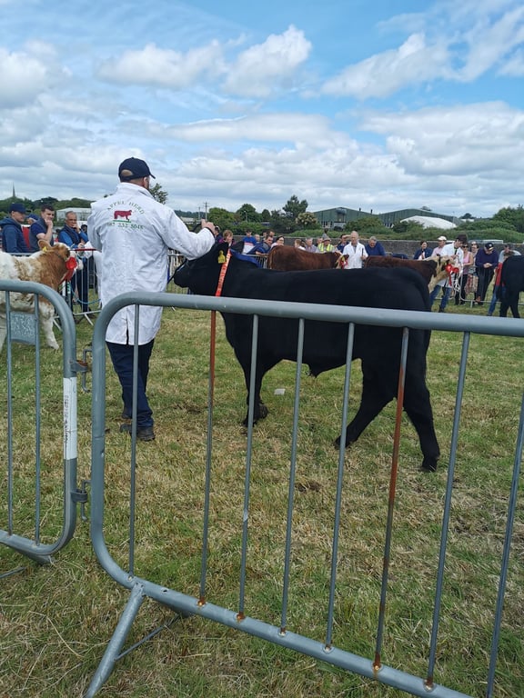Clonakilty Agricultural Showgrounds