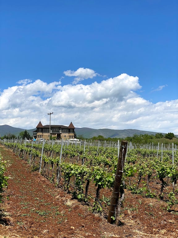 Kamnik Winery