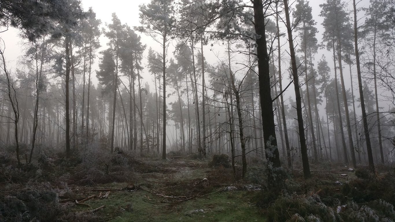 Świetlica Wiejska Lubnia