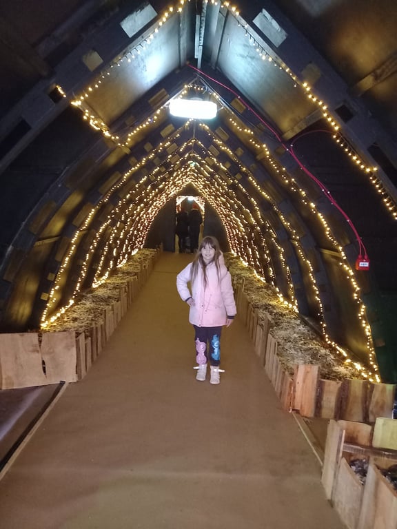 Elf Town Galway