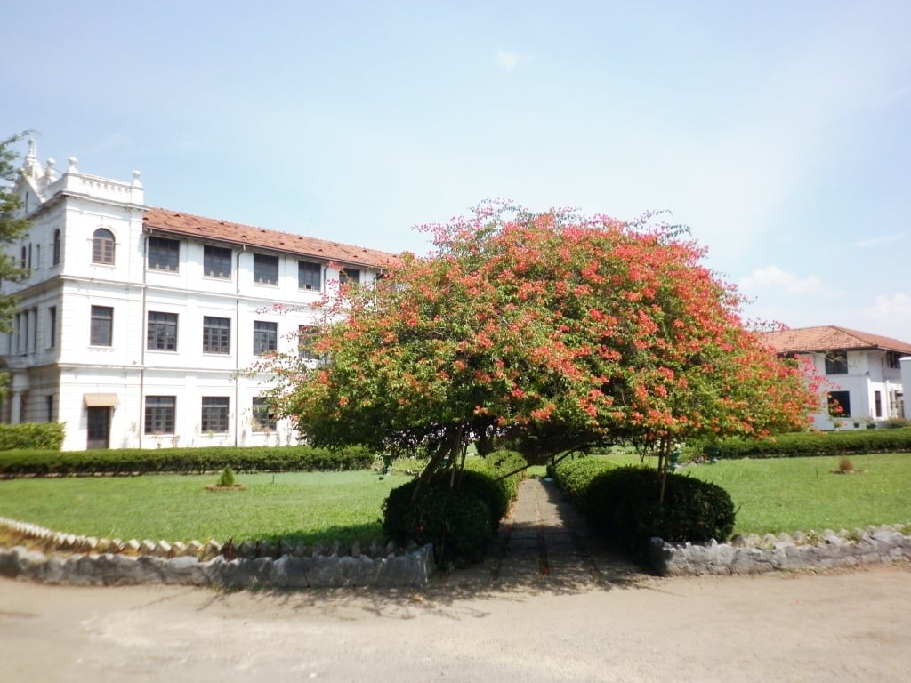 St. Bridget’s Convent