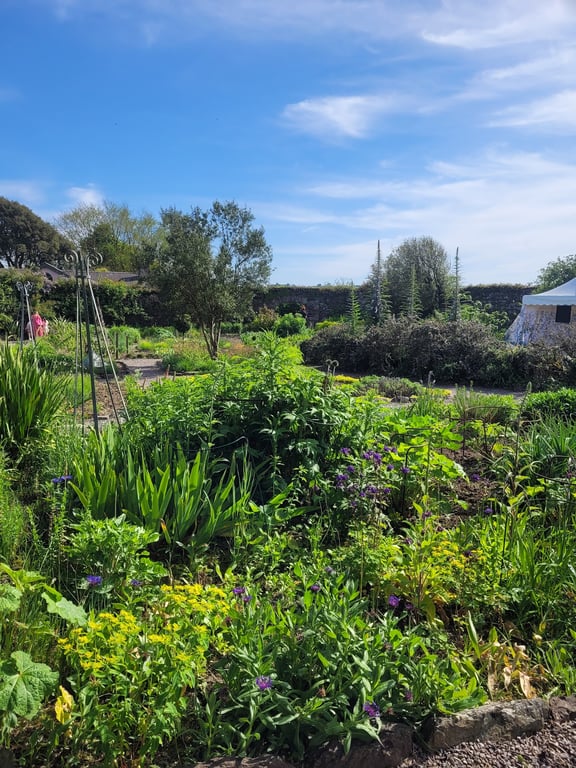 Ballymaloe Grainstore