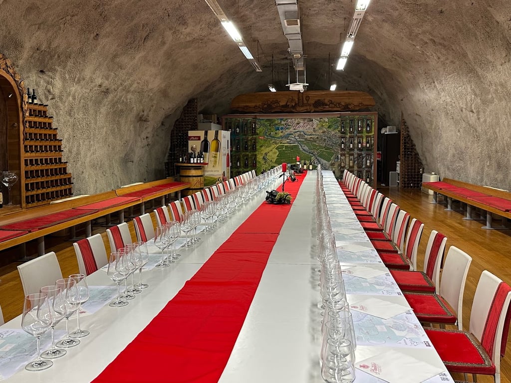 Wine Cellar Šipčanik