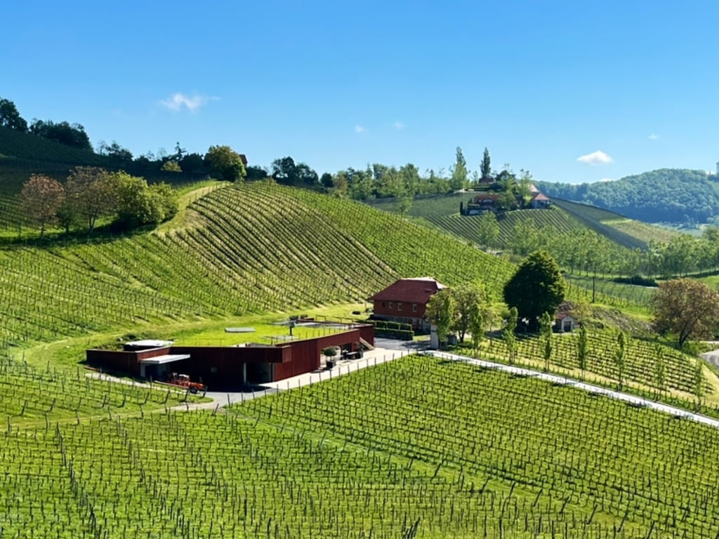 Ducal Winery