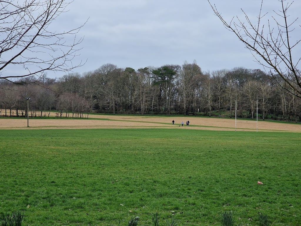 Listowel parkrun