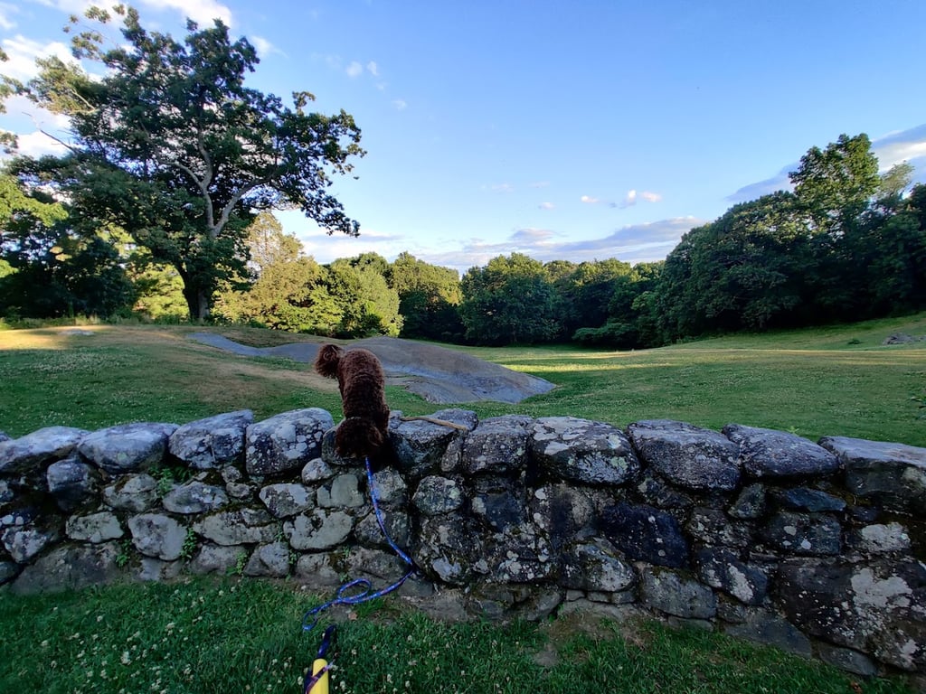 Stonehurst, the Robert Treat Paine Estate