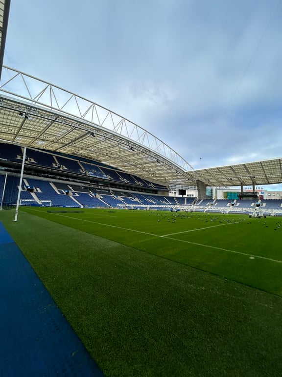 Dragão Caixa