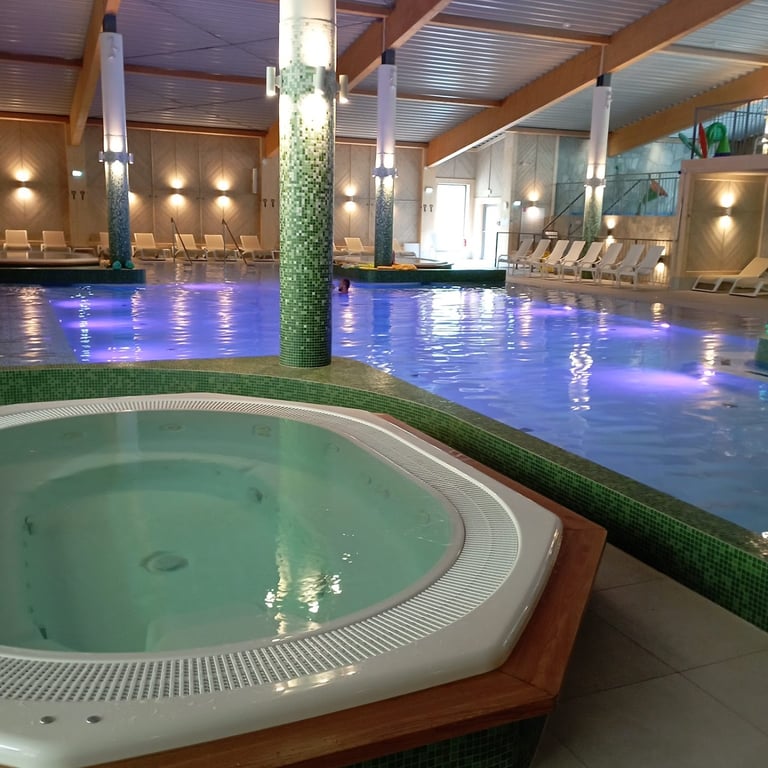 Aries Hotel & SPA Szczyrk