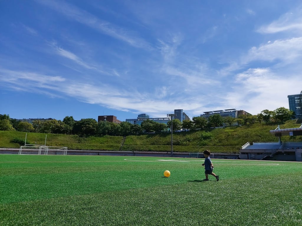 Seoul National University Gymnasium