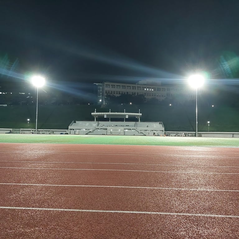 Seoul National University Gymnasium