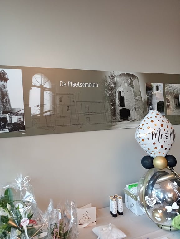De Plaetsemolen