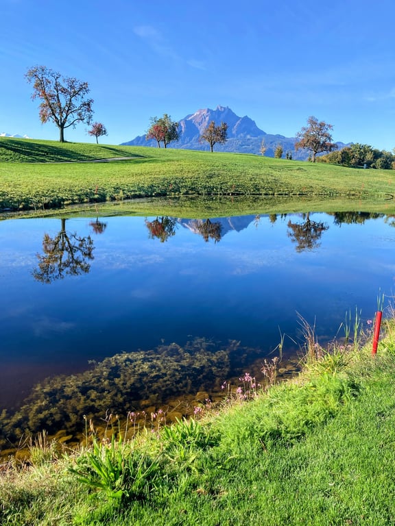 Gasthaus Badhof - Golfhotel
