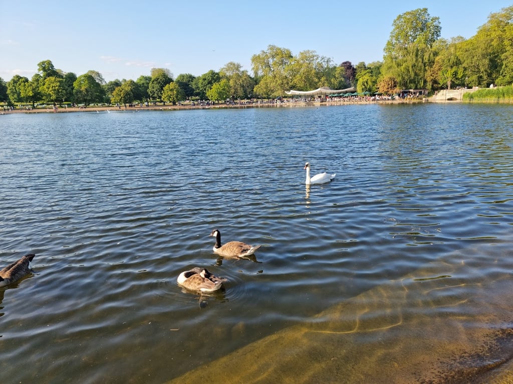A Hyde Park Hello