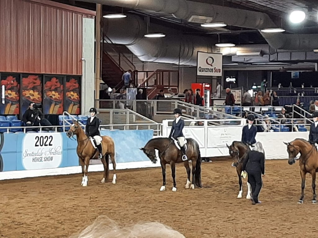WestWorld (Scottsdale)