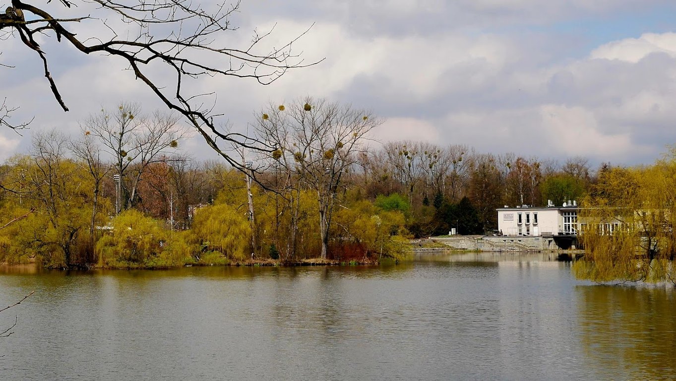 Duży Staw Park Śląski