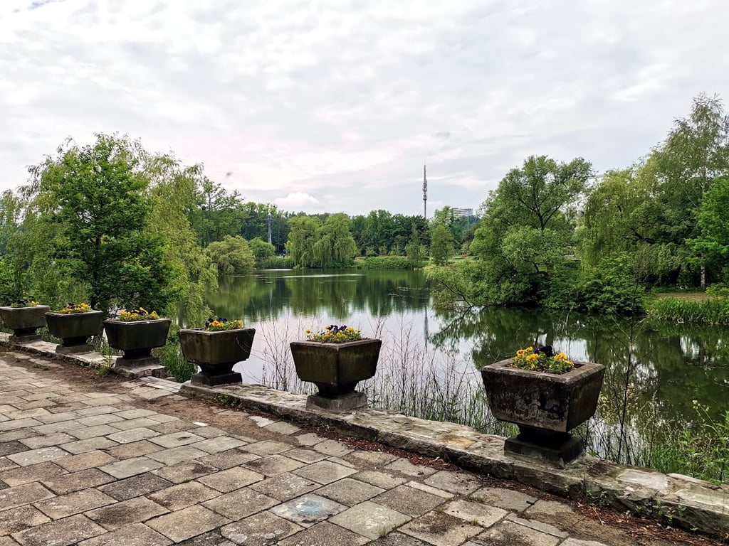 Duży Staw Park Śląski