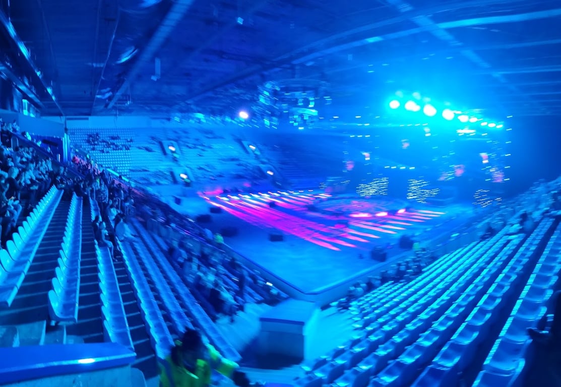 Luzhniki Palace of Sports