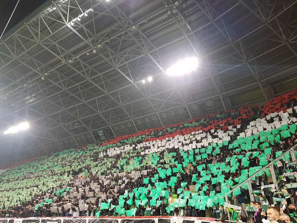 Groupama Arena