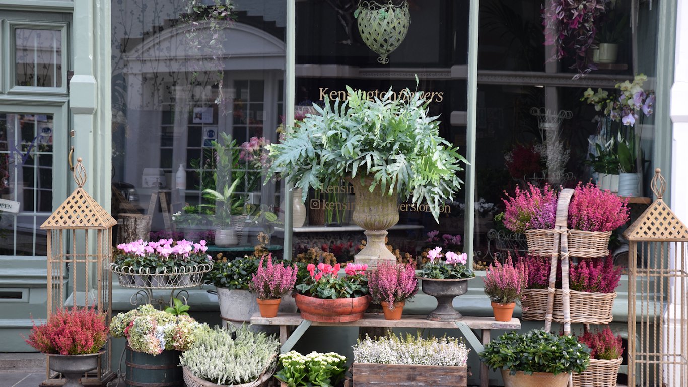 Floral Kensington