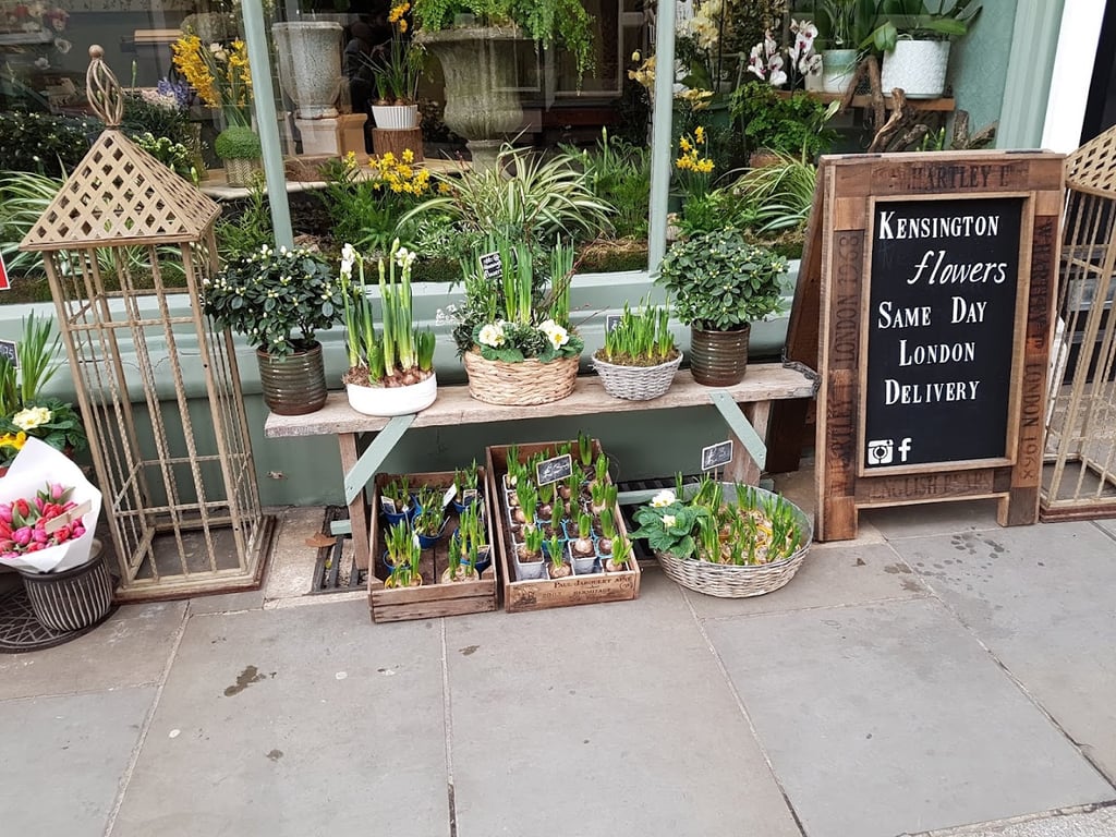Floral Kensington