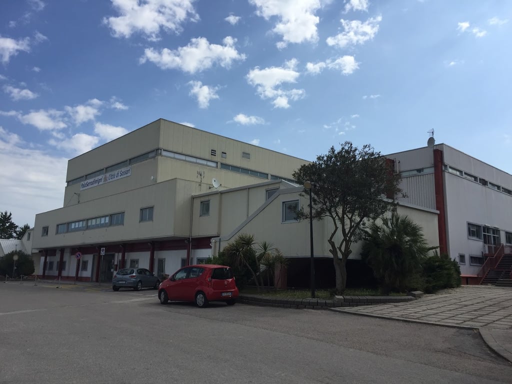PalaSerradimingi