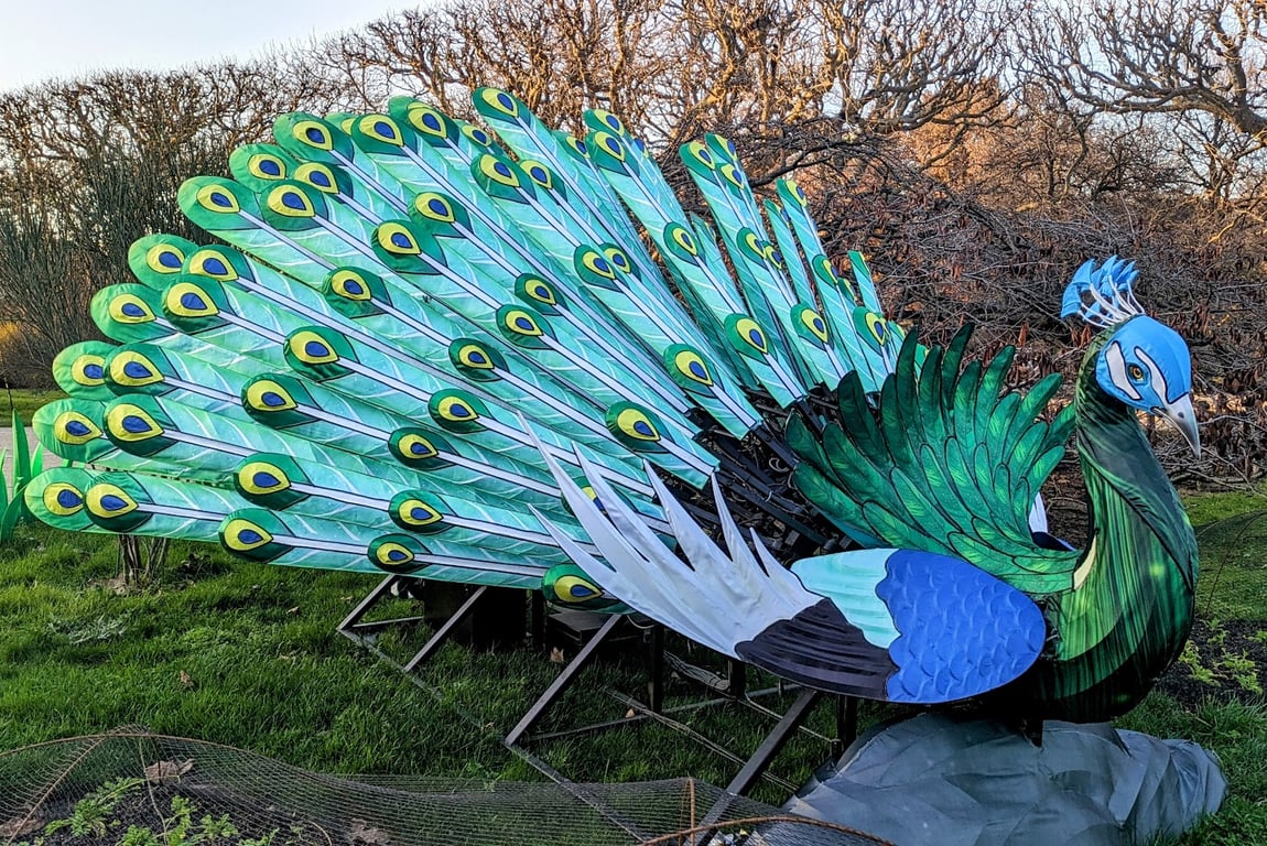 Le Botanique
