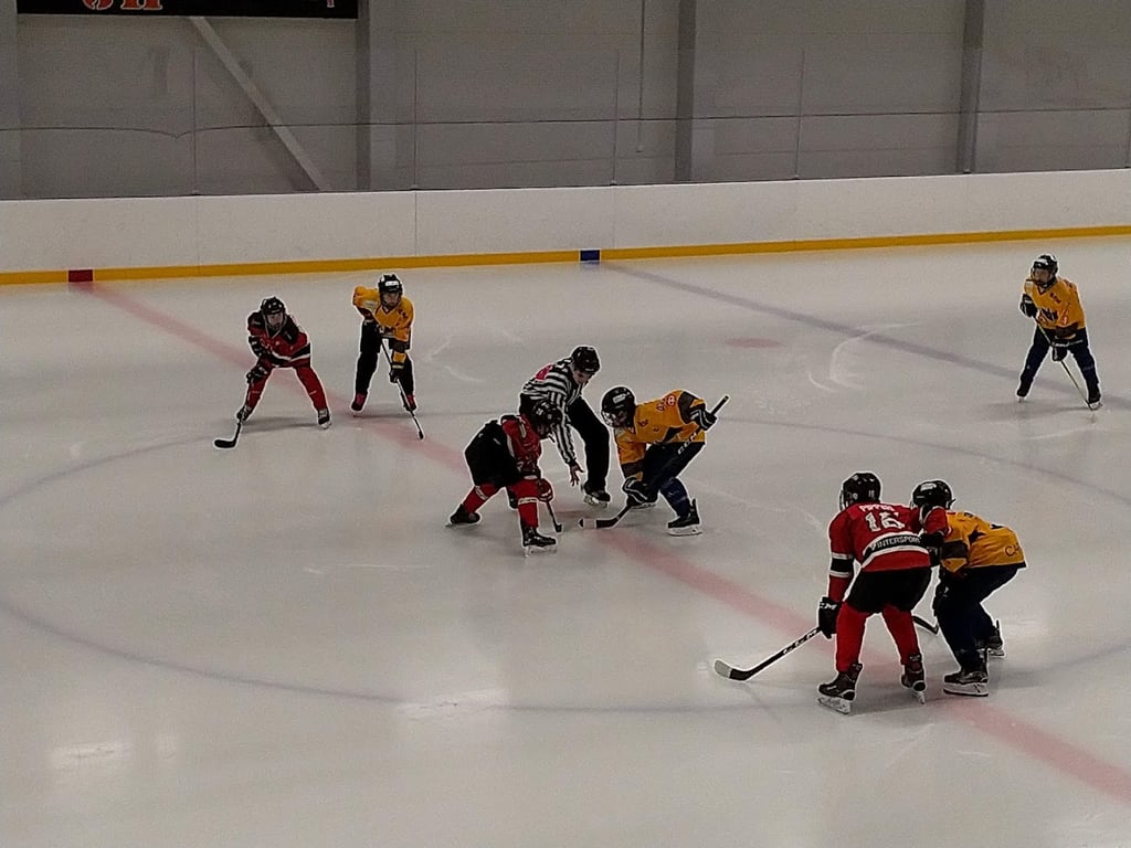Mehtimäki Ice Hall