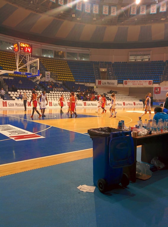 Krylatskoye Sports Palace