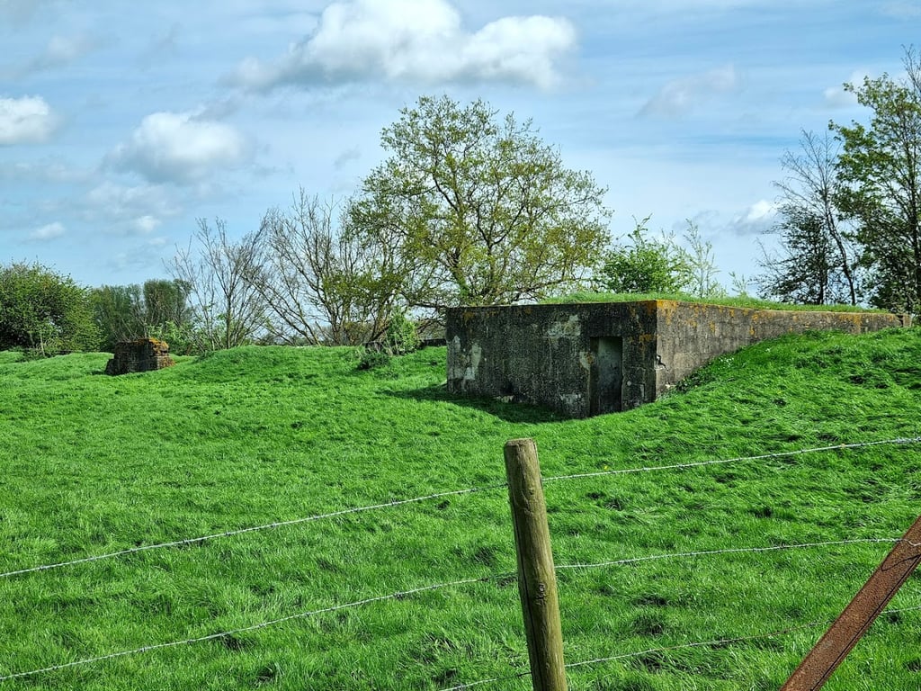 The Bunkers