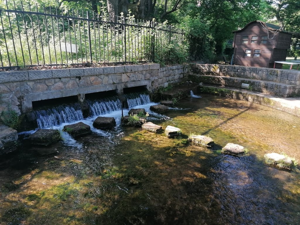 Biljanini Izvori